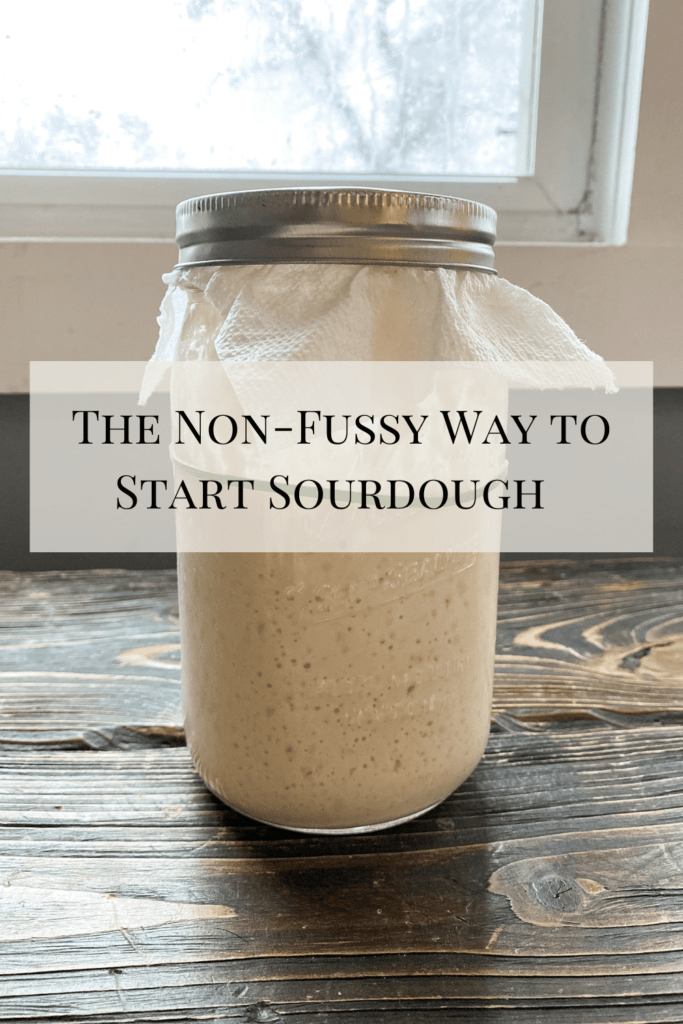 the Non-Fussy way to start sourdough