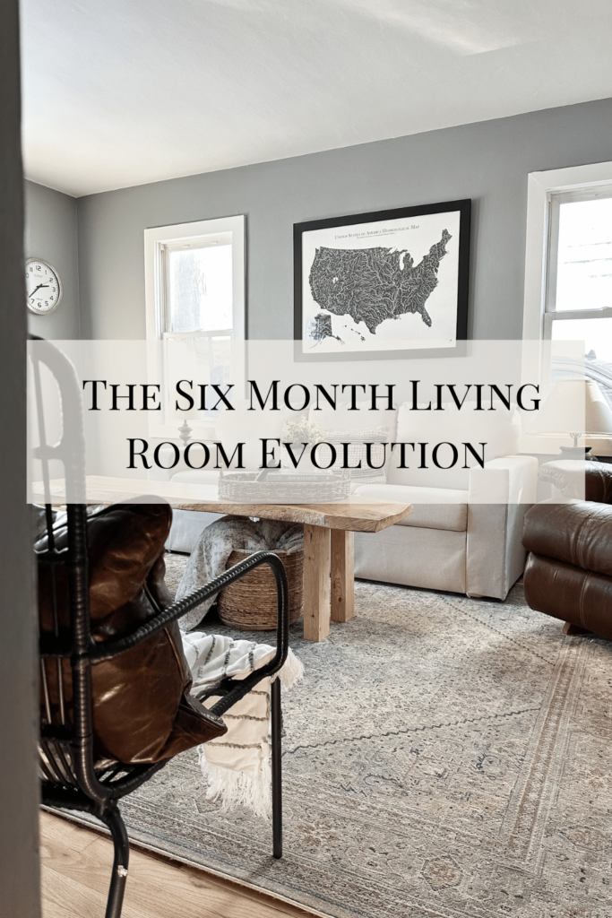 The Six Month Living room Evolution